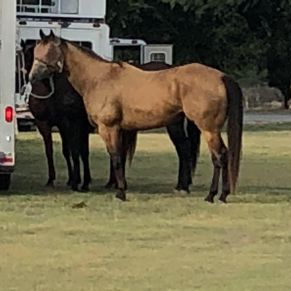 Historic Georgetown Rodeo and Arena