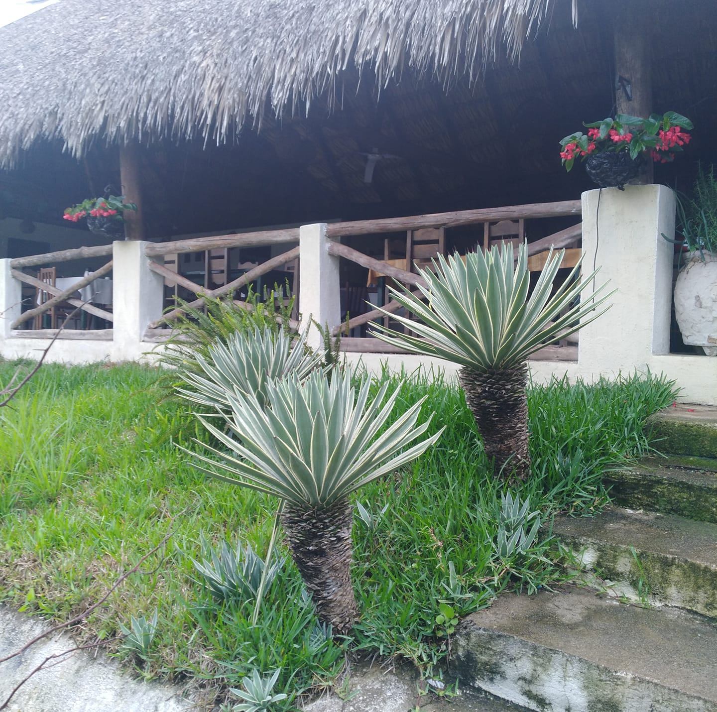 Rancho de la casona | Cuilapa