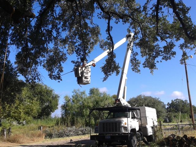 Ibarra's Tree Service | New Braunfels TX