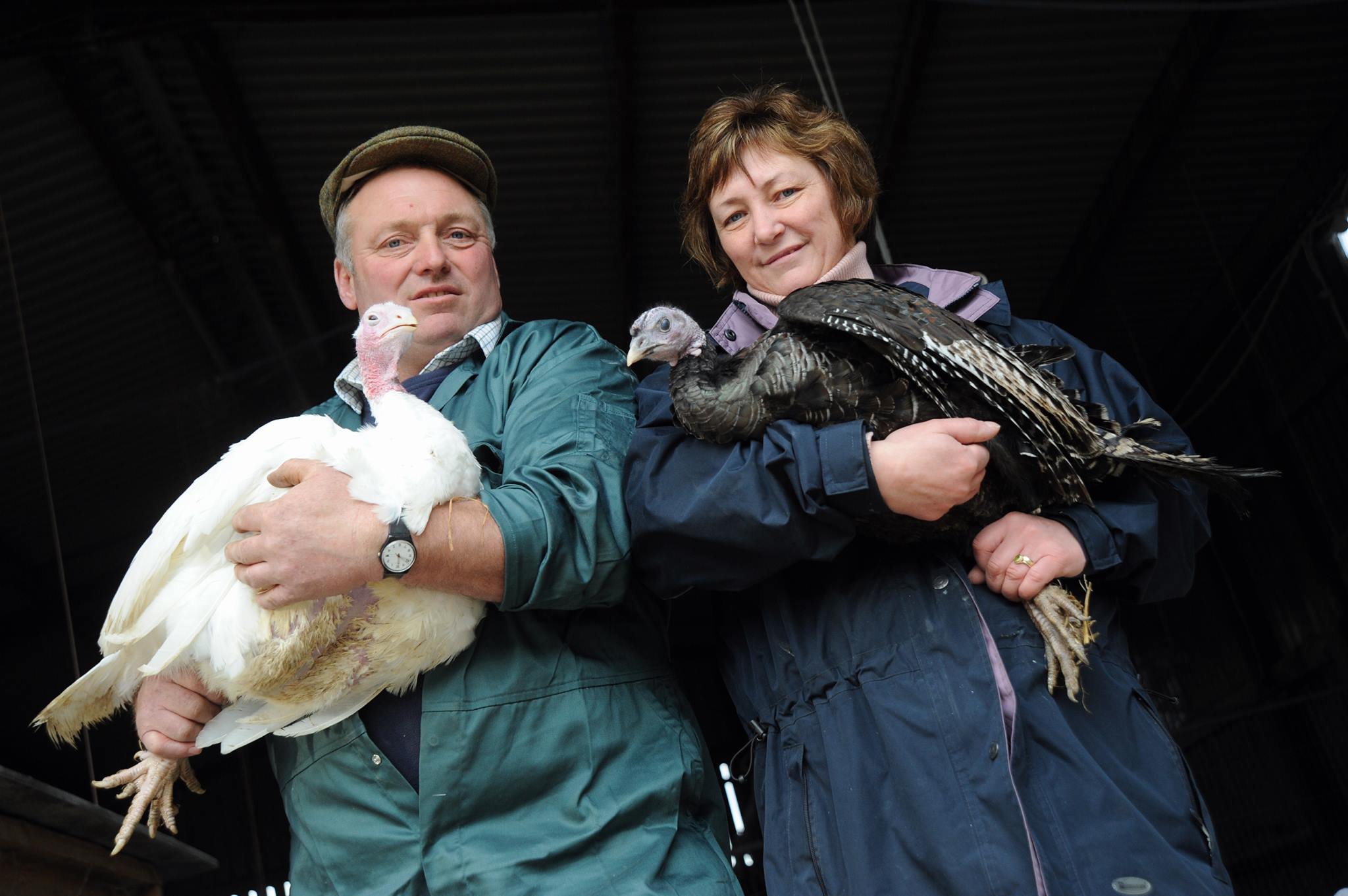 Friswells Farm | Rugby