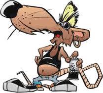 Mr. rataa