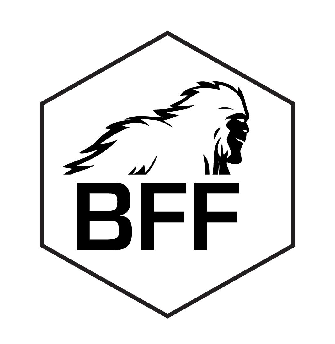 Bigfoot Forge Co.