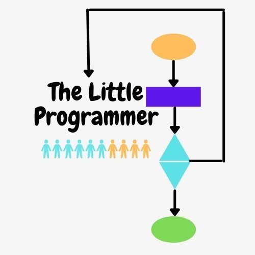 The Little Programmer