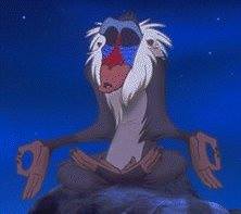 Dr Rafiki