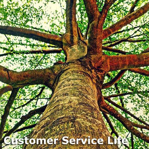 Customer Service Life
