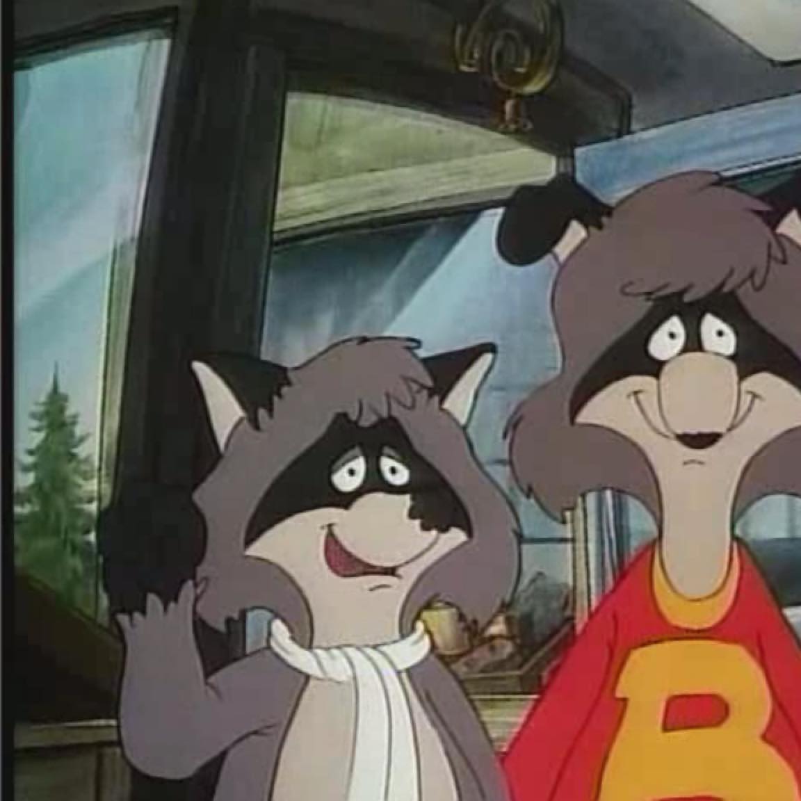 Ralph Raccoon
