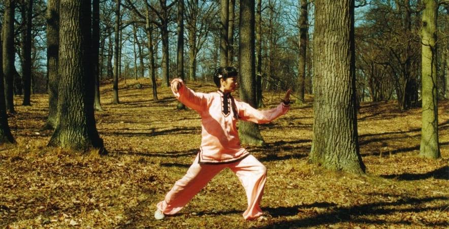 Li Min's Tai Ji & Svärd Akademi | Stockholm