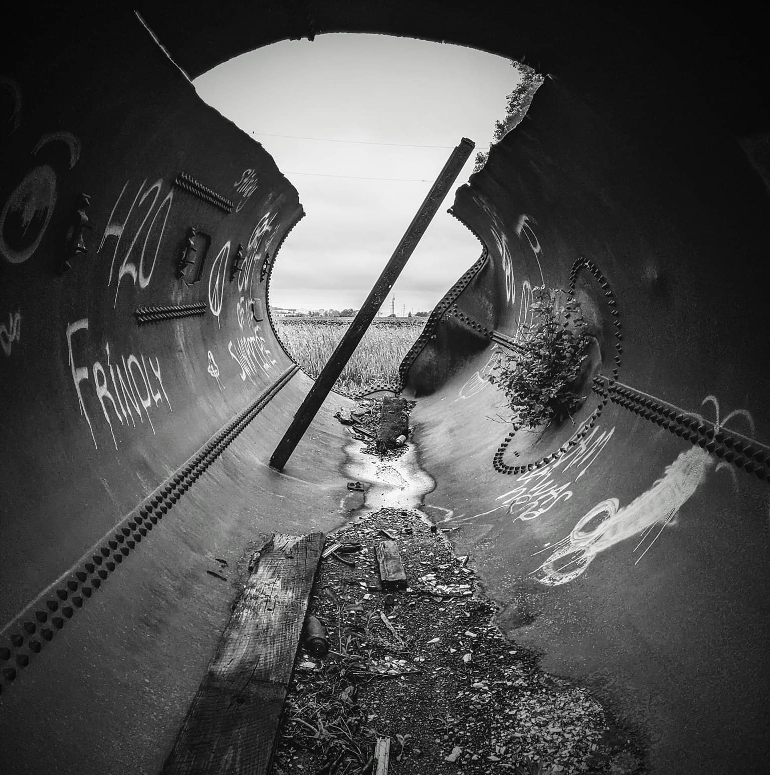 Faley's photography