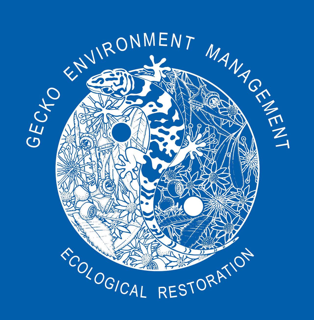 Gecko Environment Management