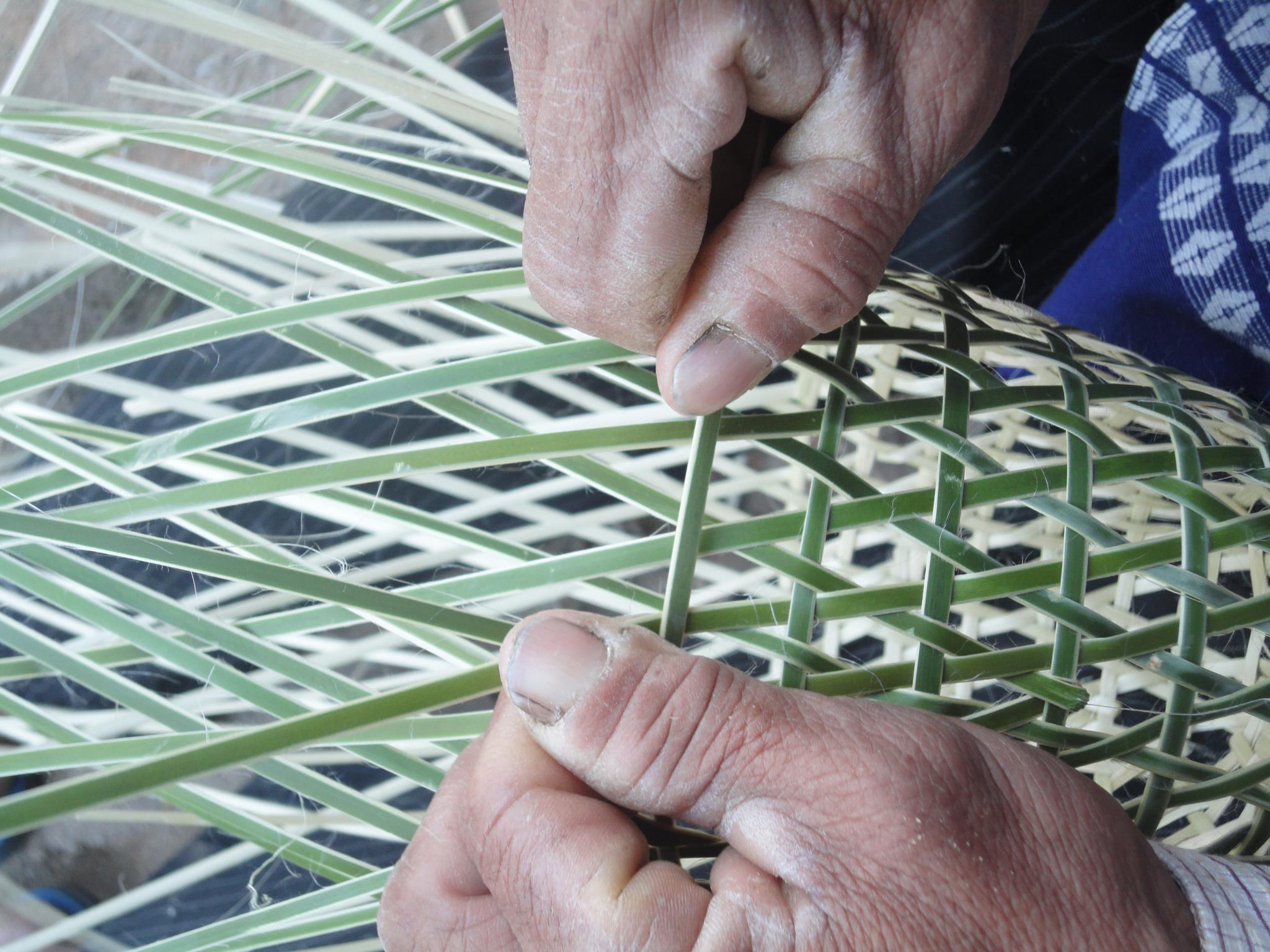 Bamboo and Cane Development Institute