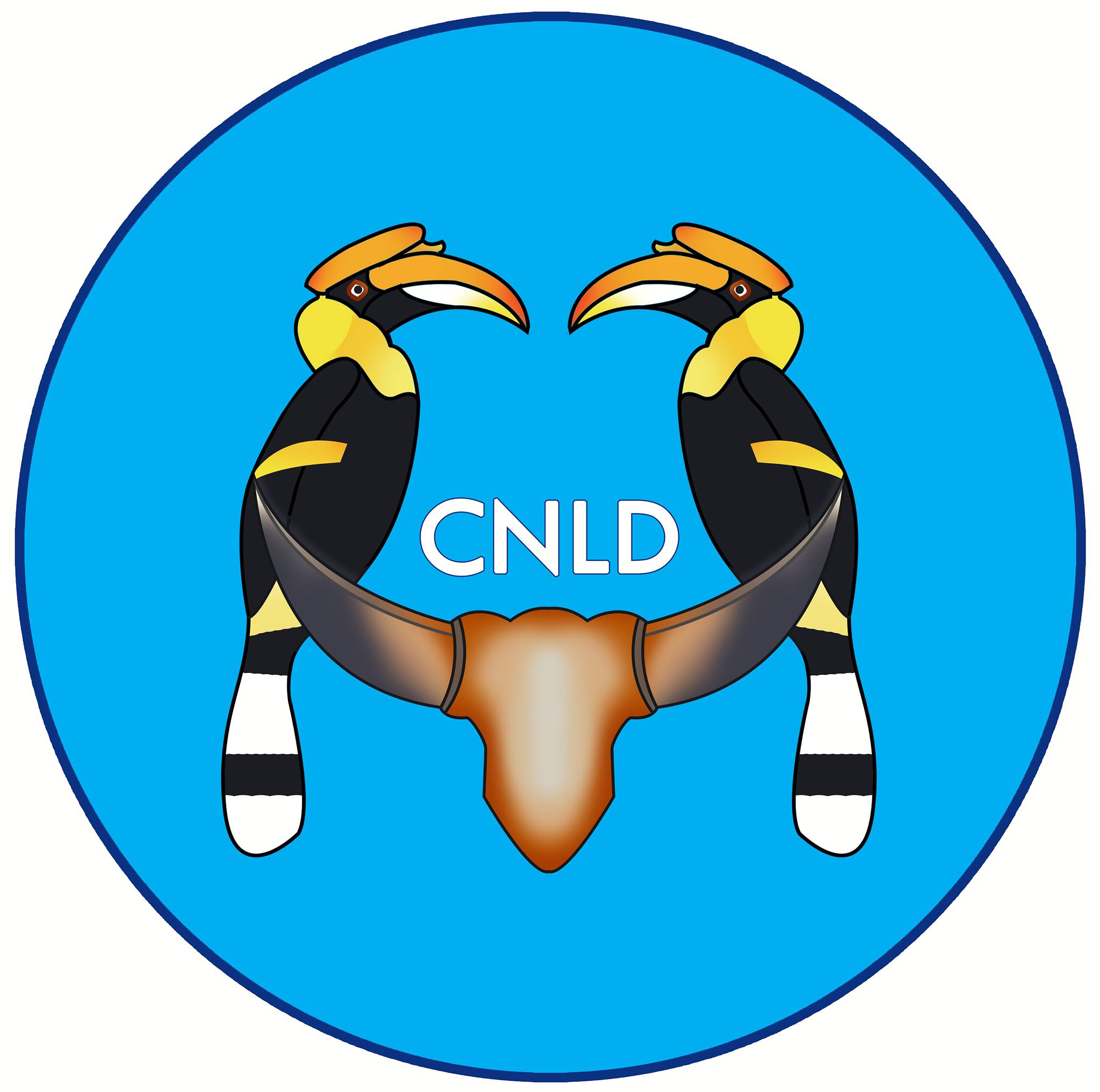 Chin National League for Democracy - Youth