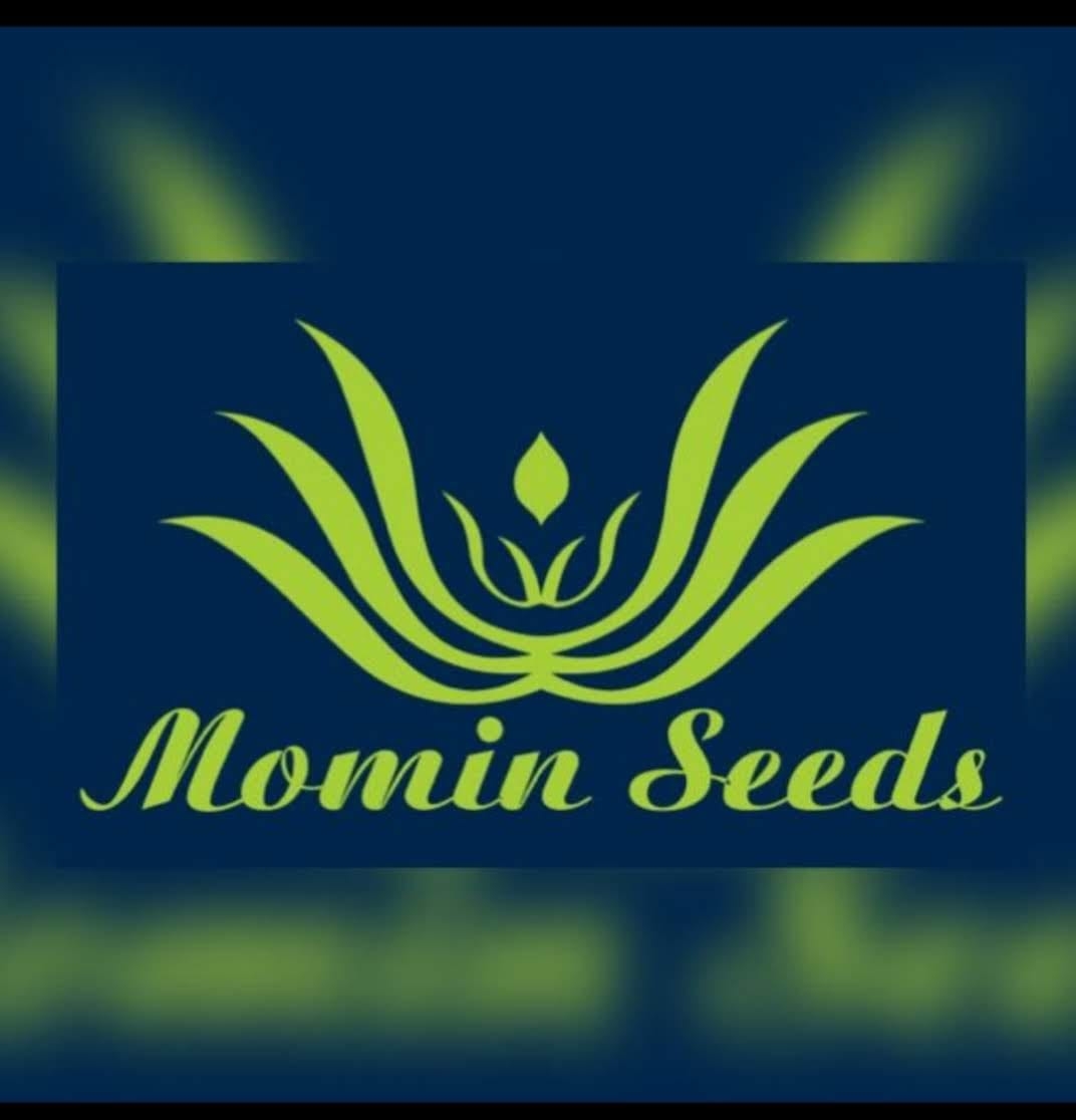 Momin Seed | Nawabshah