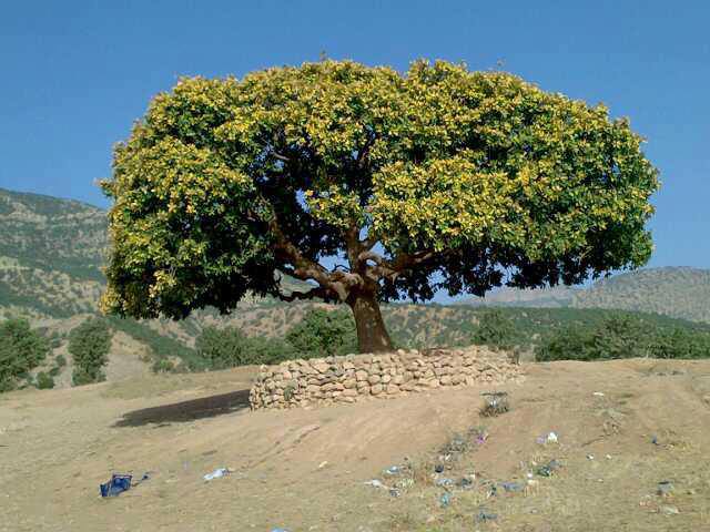 سروشتى قه ره داغ