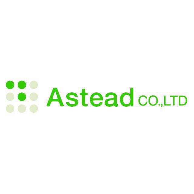 株式会社Astead