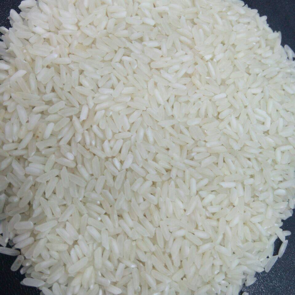 Indian Rice Exporters