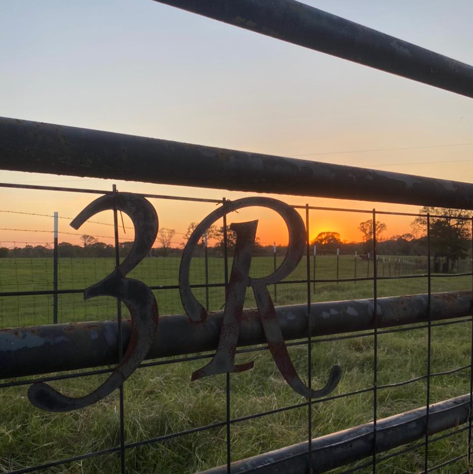 3R Ranch & Cattle