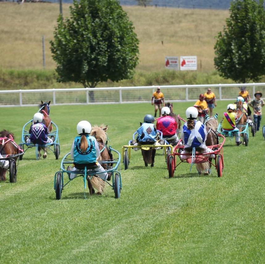 Queensland Junior Harness Racing Association Inc.