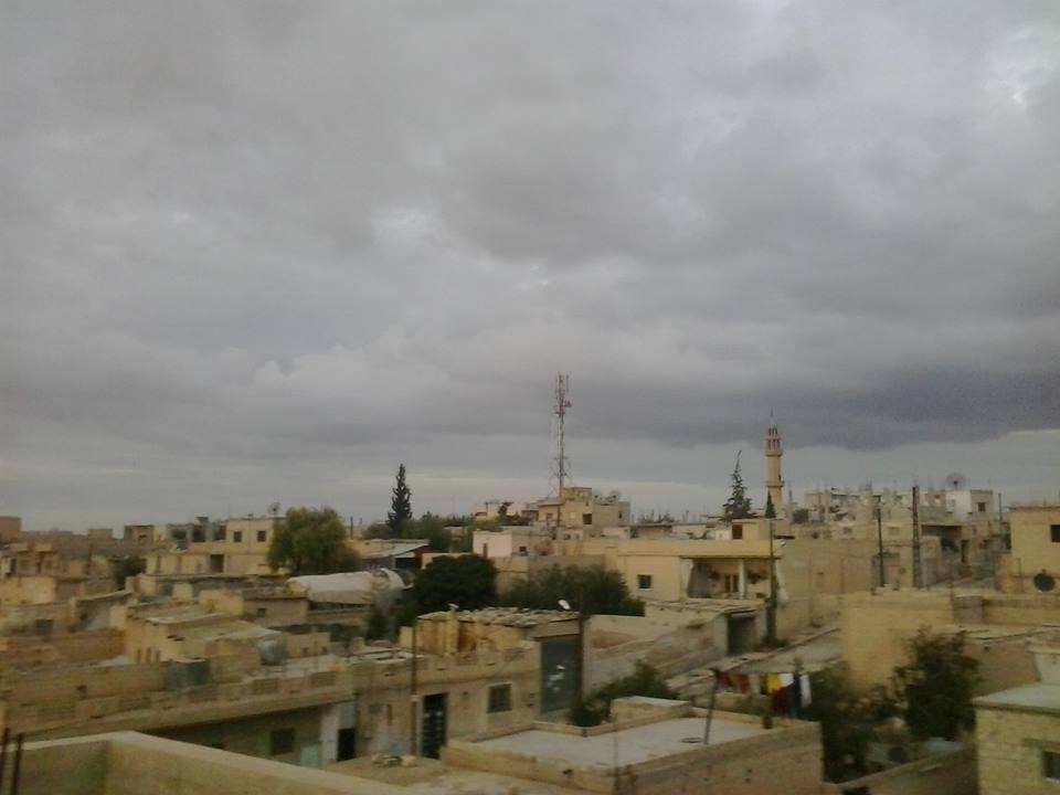 فضائح سعن الشجرة