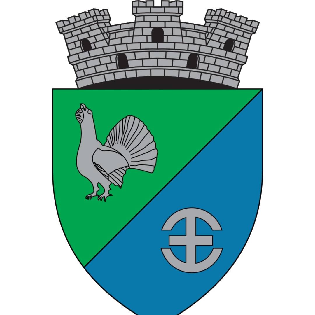 Primăria Orașului Avrig
