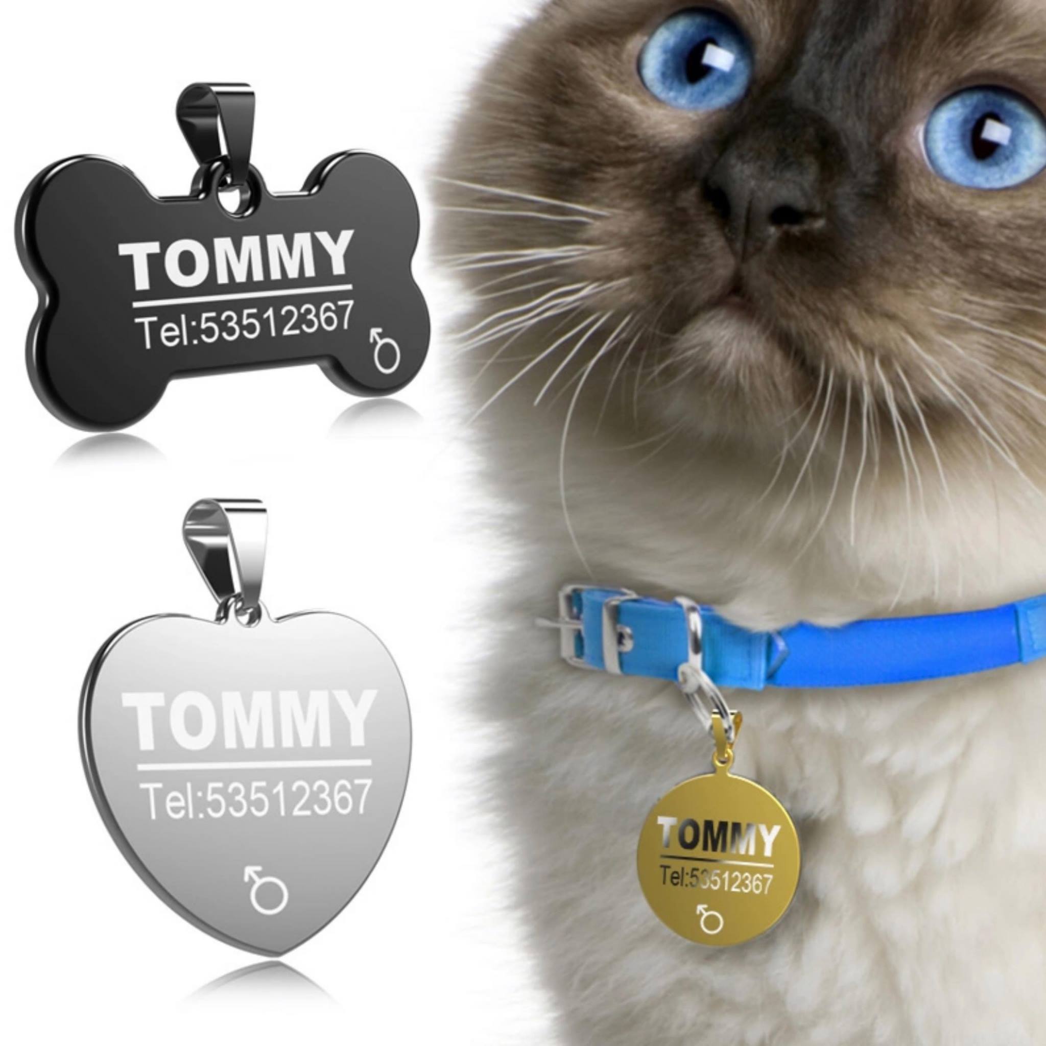 Ruby Collars Global ปลอกคอสลักชื่อ