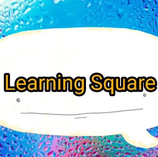Csharp Learning Square