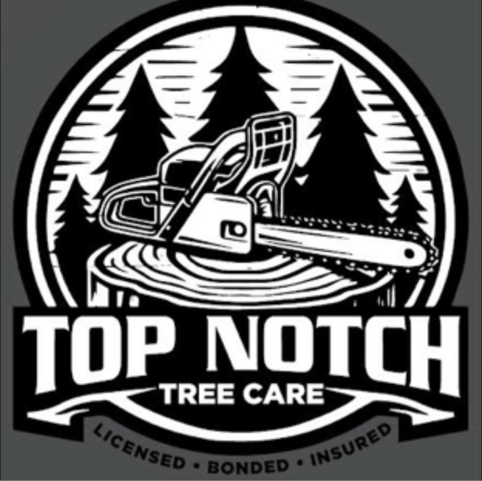 Top Notch Tree Care LLC | Belton SC