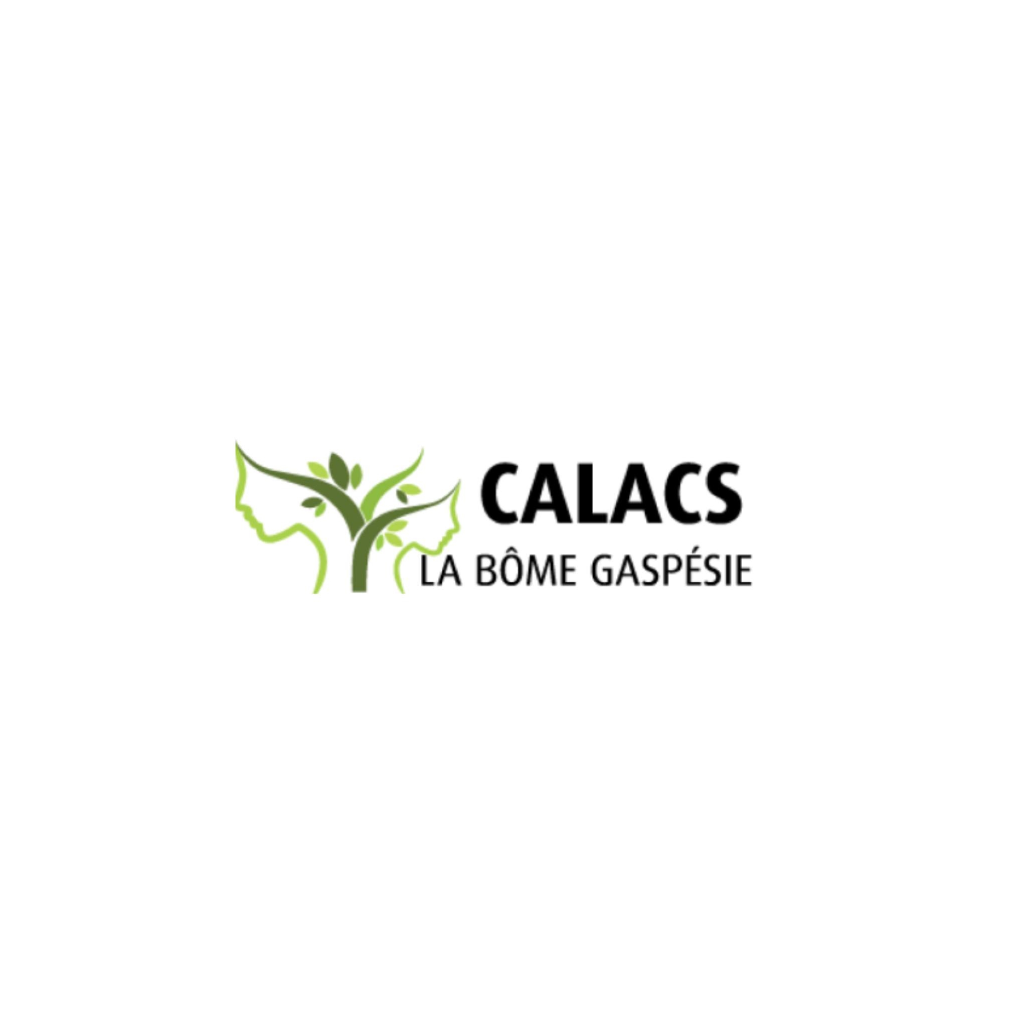 Calacs - Bonne année 2026 L’équipe du CALACS est de retour en poste et ...