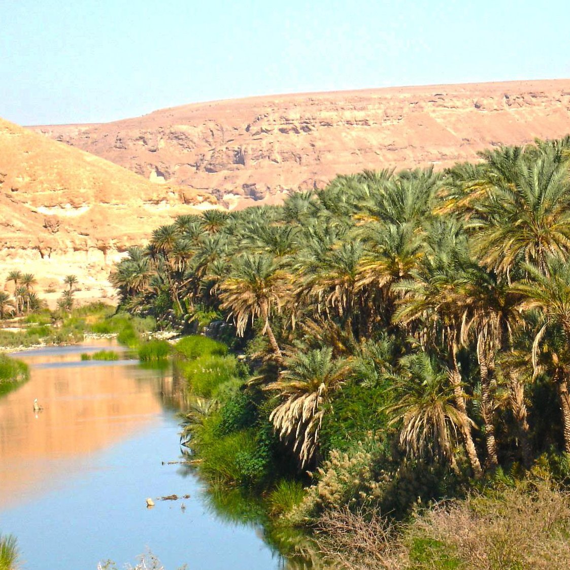 وادي ساه Wadi Sah l
