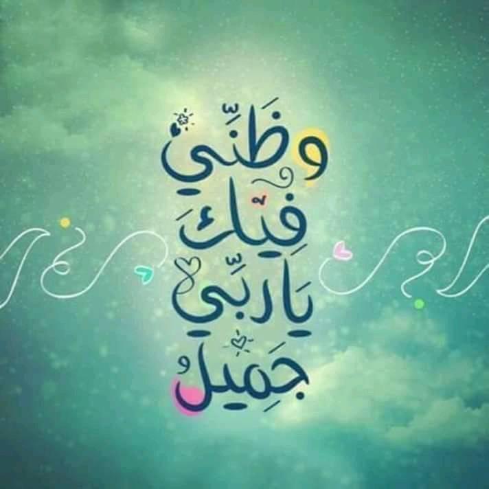 وظني فيك يا ربي جميل