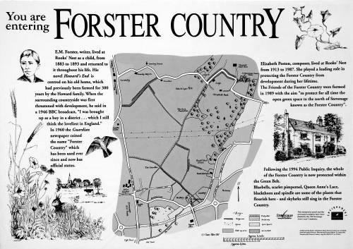 Forster Country | Stevenage