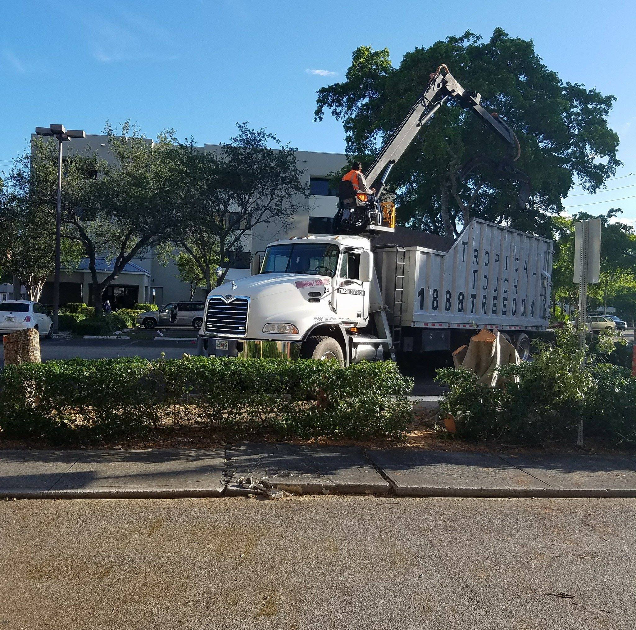 Royal Tree Service and Landscaping