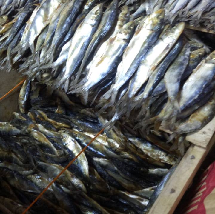 Dried fish Direct Supplier | Mabalacat