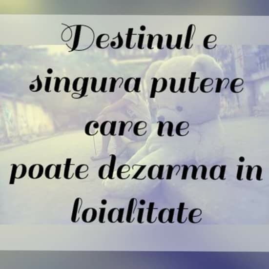 Statusuri