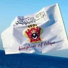 Profile for ‎المبادرة الوطنية لتفعيل الملكية الدستورية‎