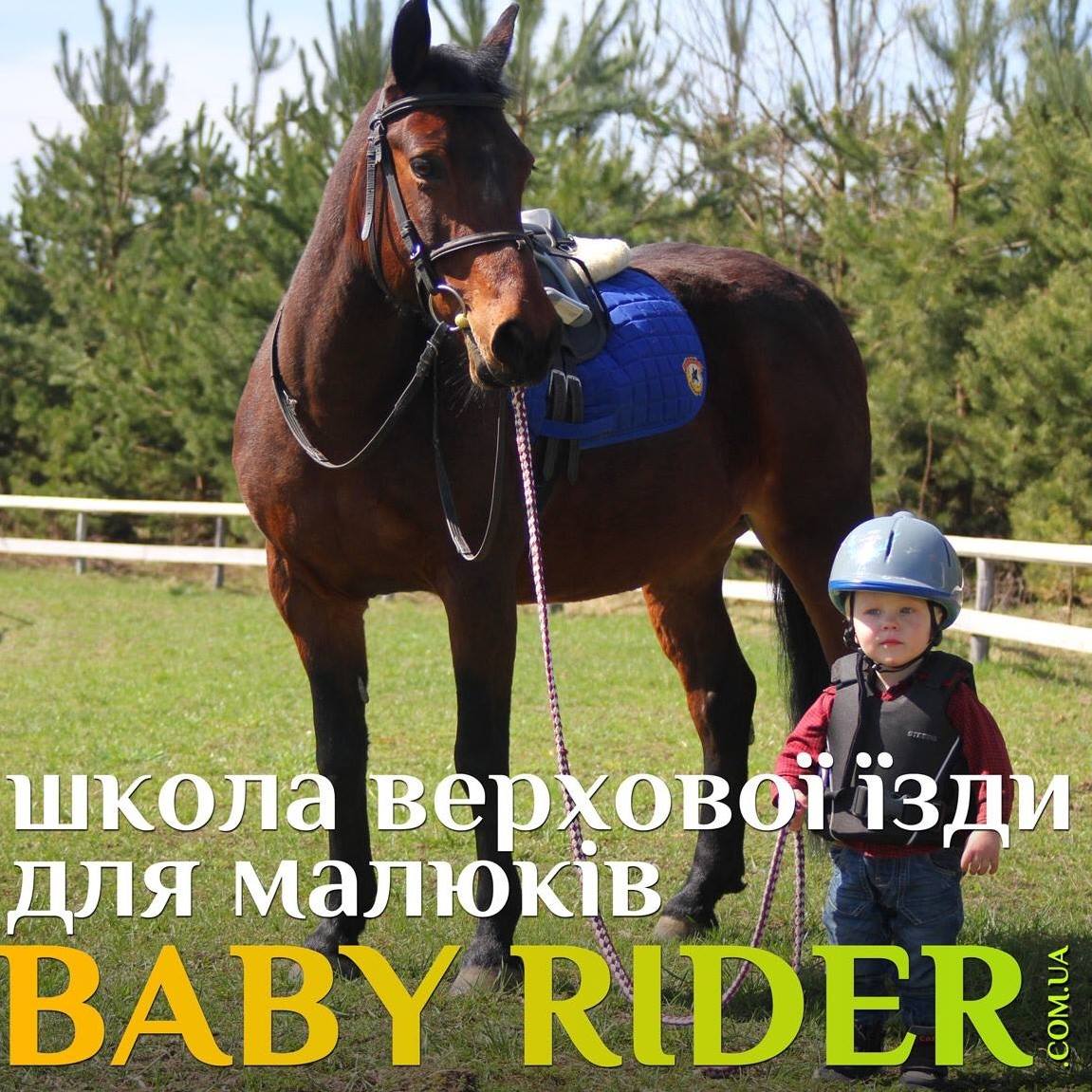 BABY Rider школа верхової їзди для Малюків | Rivne