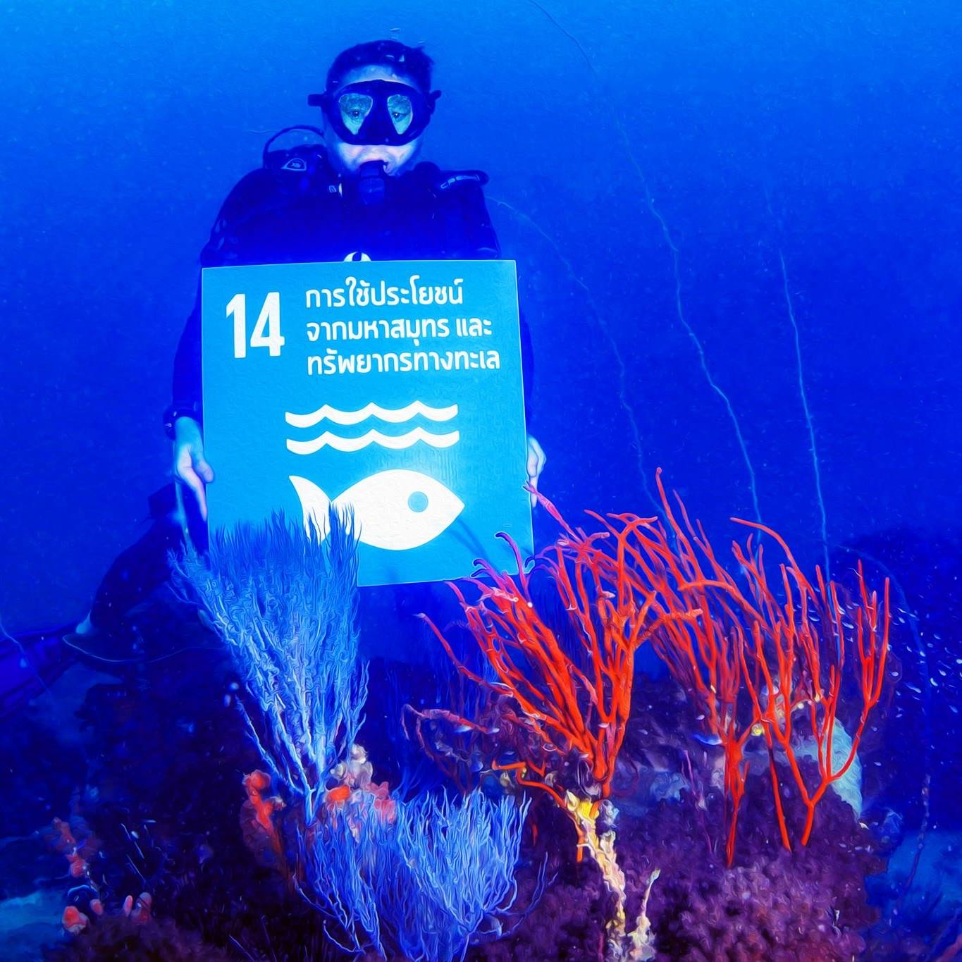 Sea - SUSTAINABLE DEVELOPMENT GOAL 14 Conserve and sustainably use the ...
