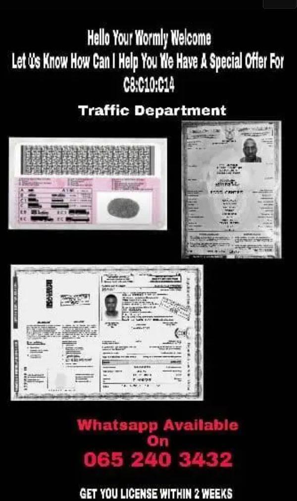 Driver's Licenses