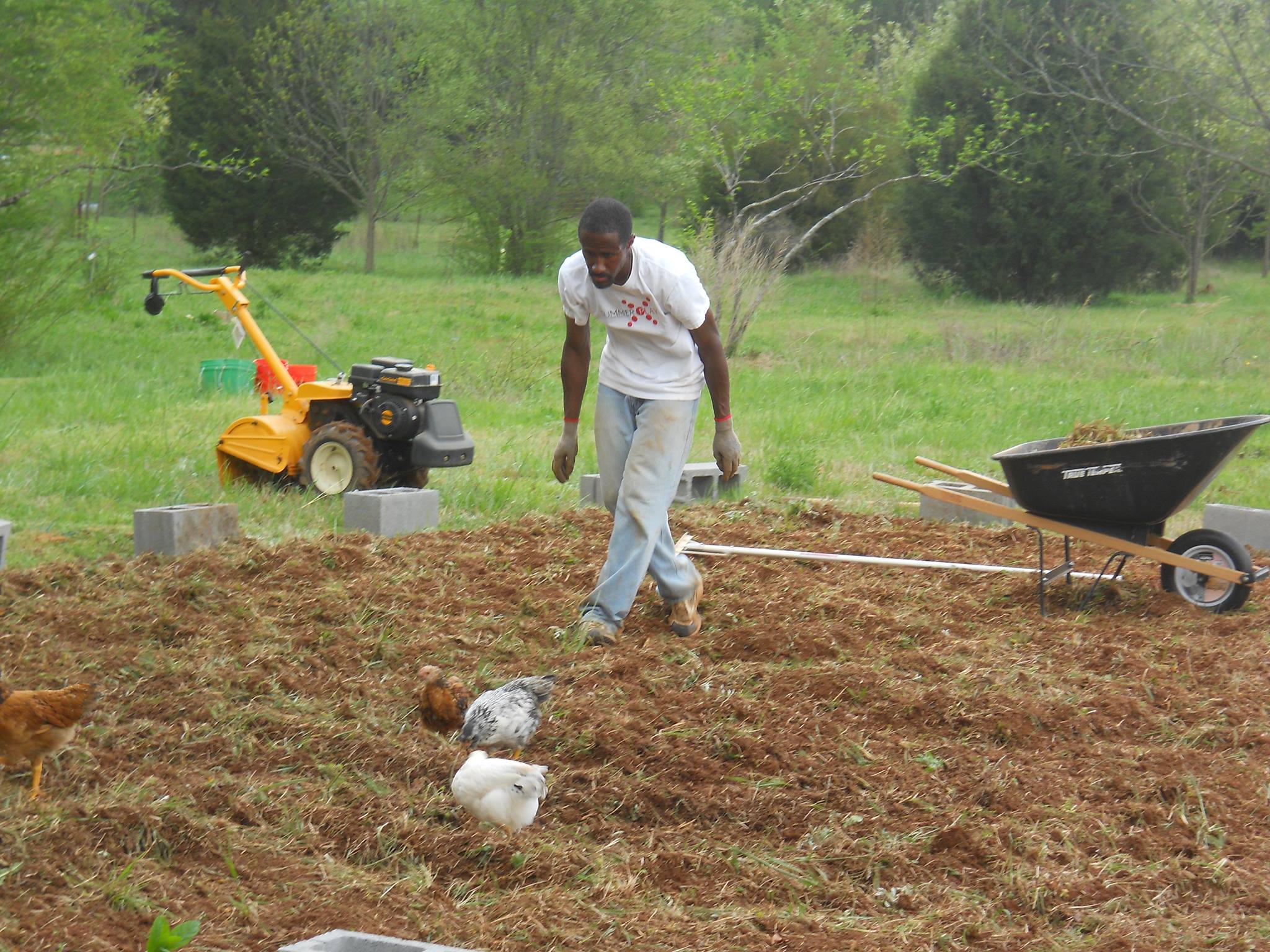 Chapman Family Farm | Commerce GA