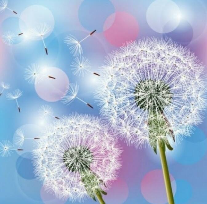 ஐ•.ღ• Lạc Đường •.ღ•ஐ
