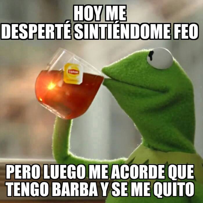 Memes de la Rana Rene
