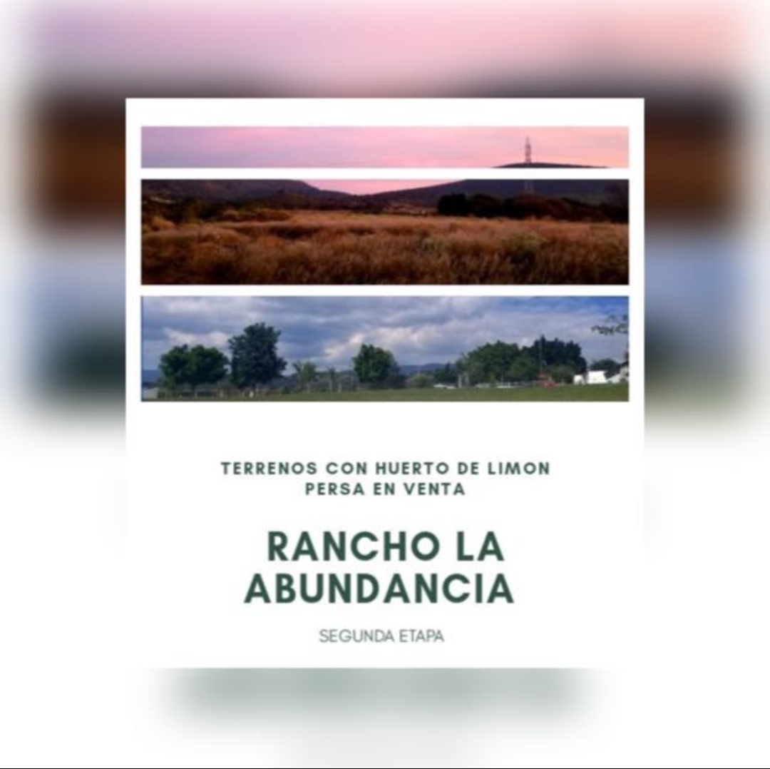 Rancho la Abundancia 2da. Sección Terrenos | Tlajomulco de Zúñiga