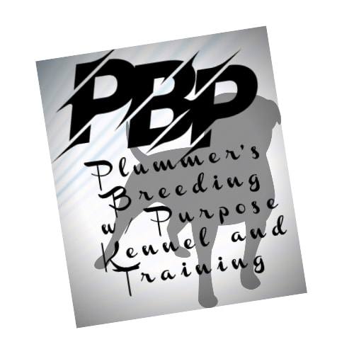 PBP Kennel & Training | Keota OK