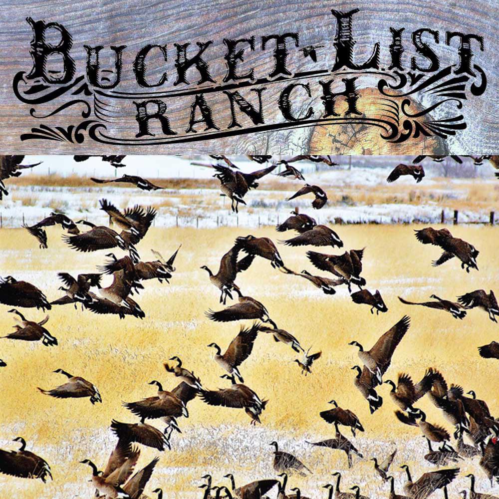 Bucket List Ranch | Adin CA