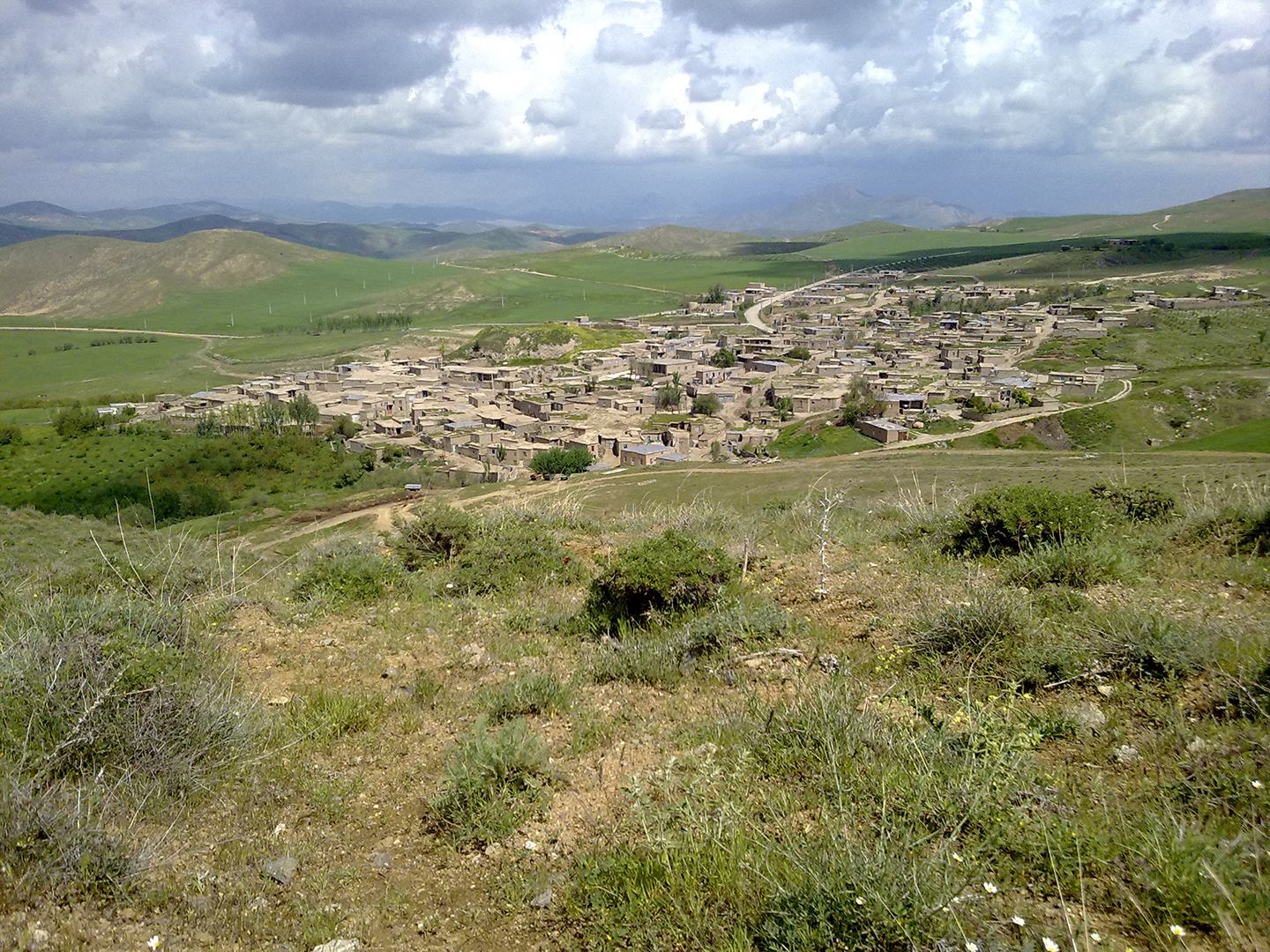 تورجان