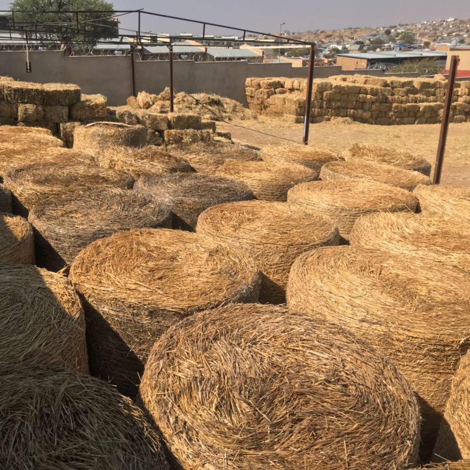 oak-oats-bales-windhoek