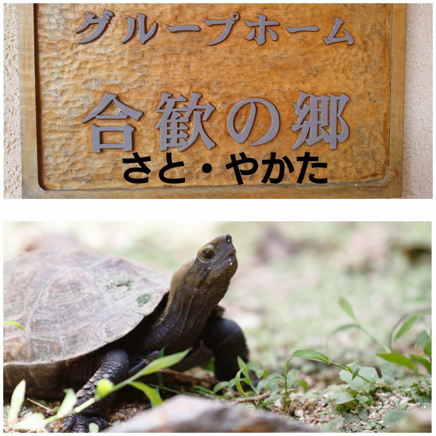 グループホーム合歓の郷 『さと』・『やかた』