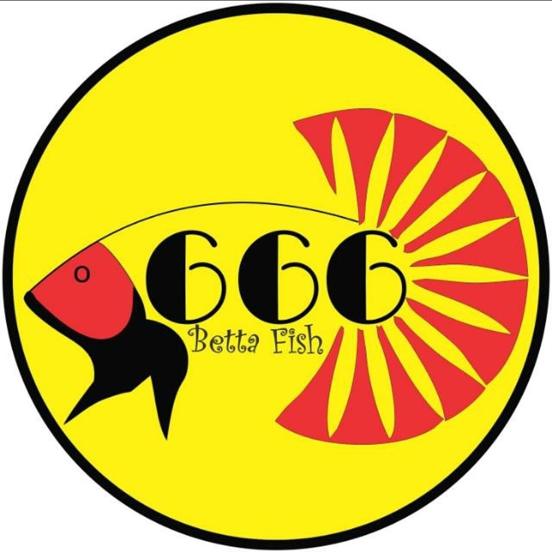666 Betta Fish