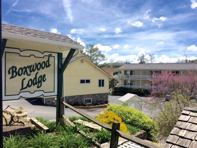 Boxwood Lodge photo 1