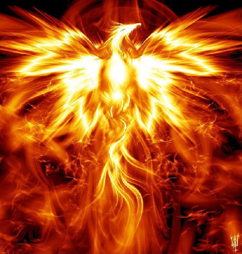The Phoenix Pyre Experience