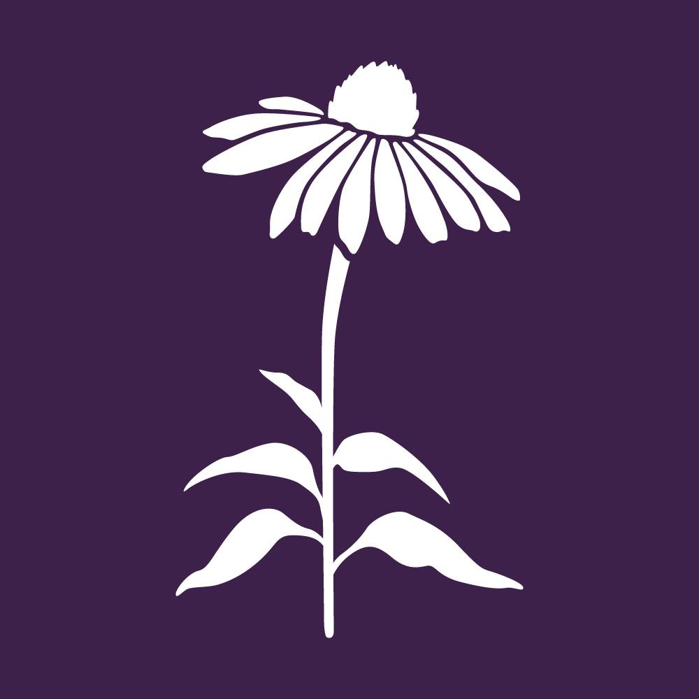 Michigan Bee Identification Guide